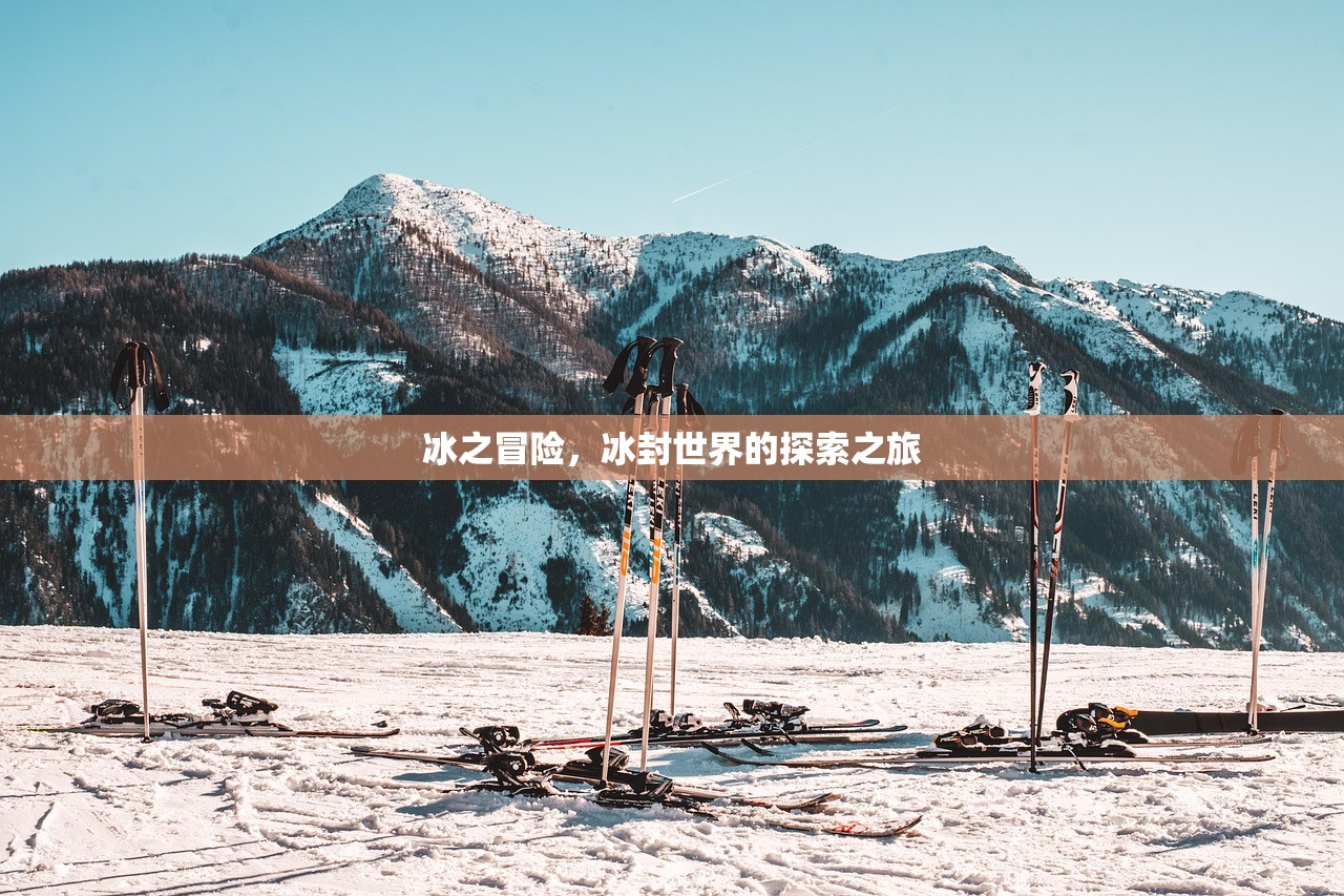 冰之冒险，冰封世界的探索之旅