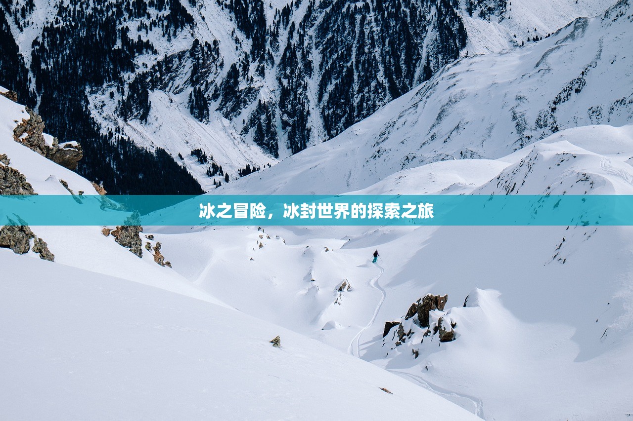 冰之冒险，冰封世界的探索之旅