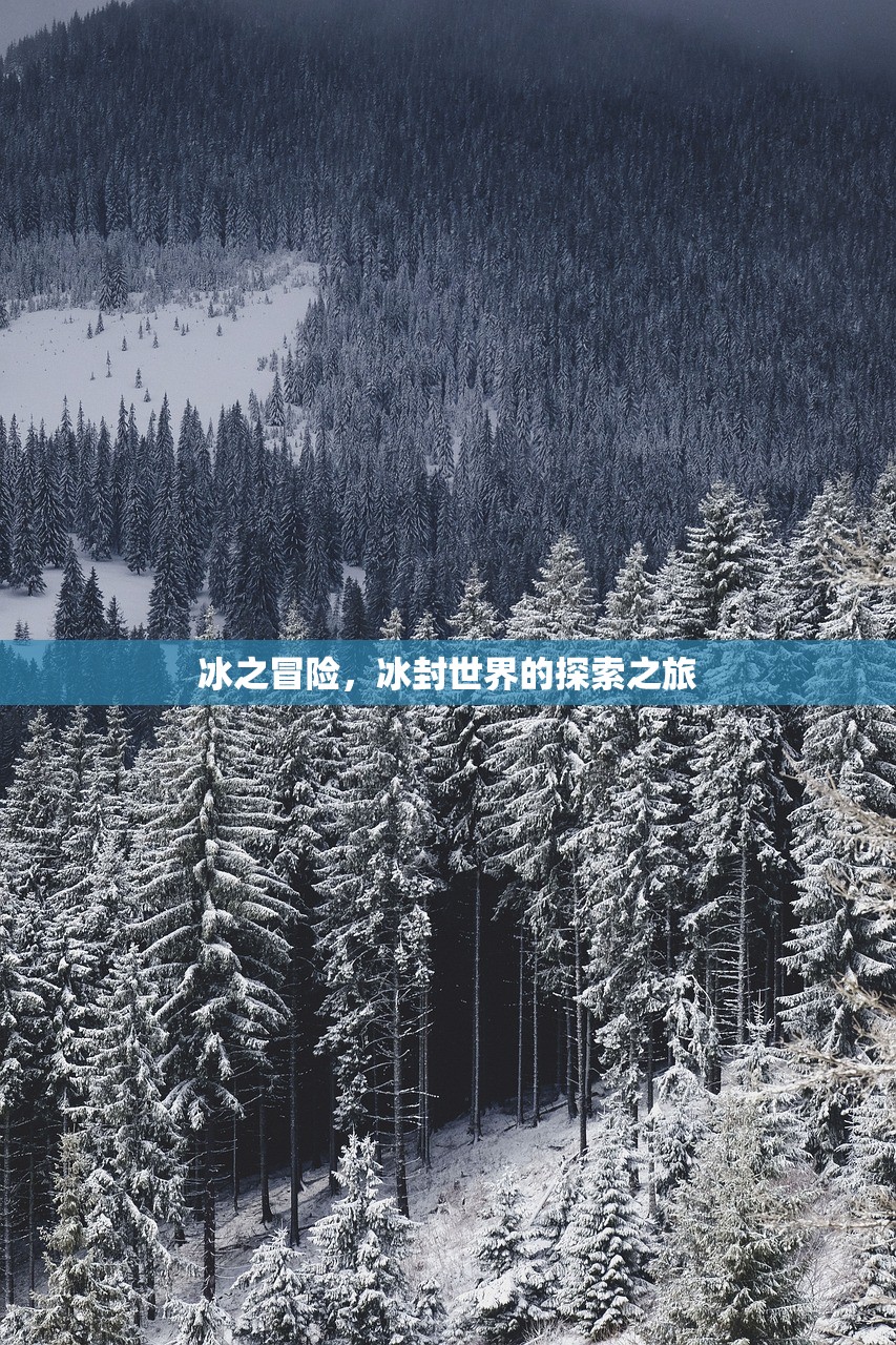 冰之冒险，冰封世界的探索之旅