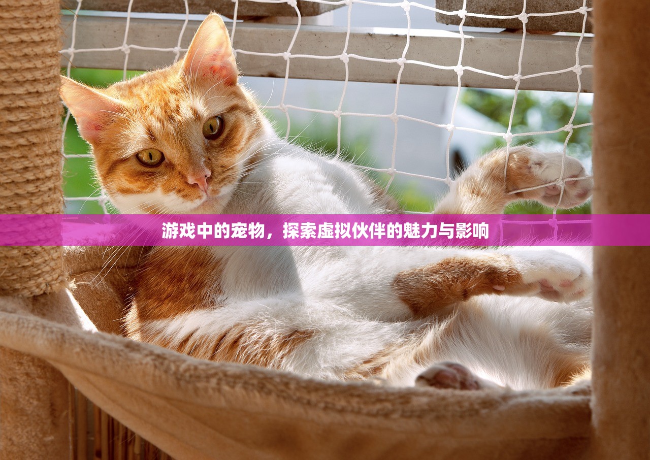游戏中的宠物，探索虚拟伙伴的魅力与影响