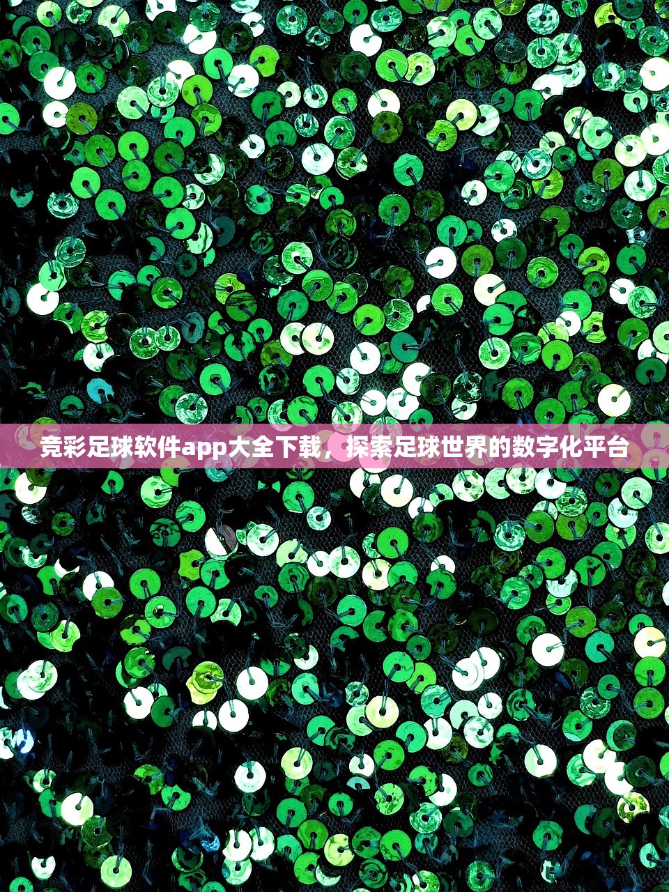 竞彩足球软件app大全下载，探索足球世界的数字化平台