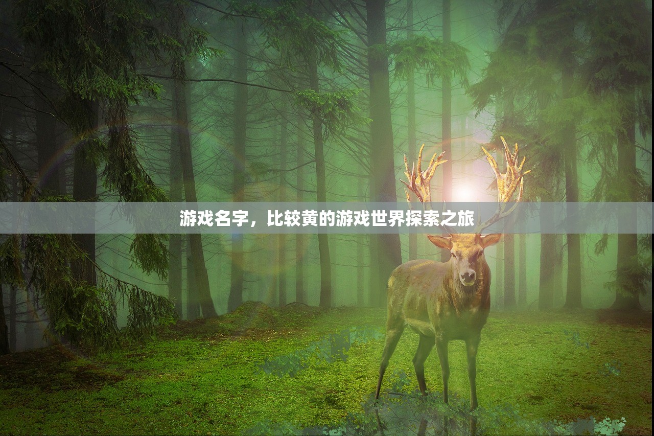 游戏名字，比较黄的游戏世界探索之旅
