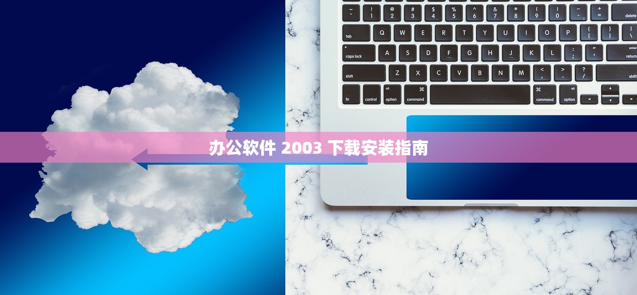 办公软件 2003 下载安装指南
