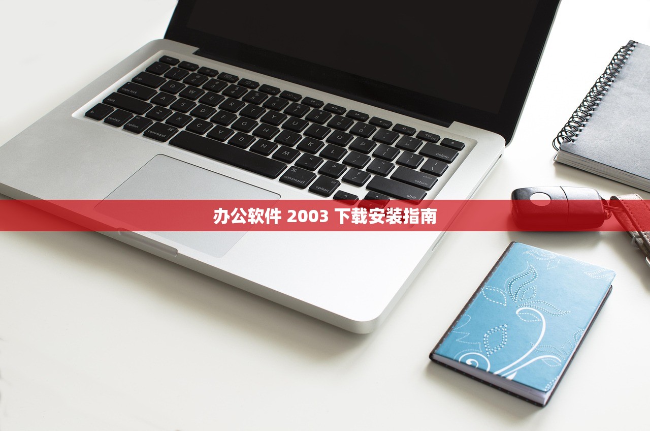 办公软件 2003 下载安装指南