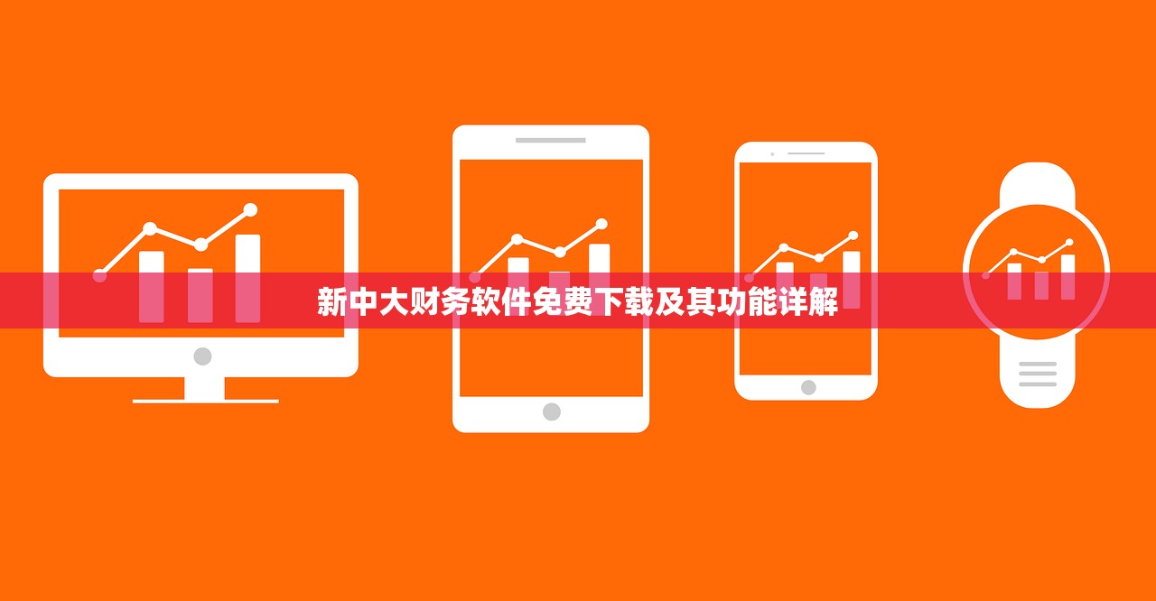 新中大财务软件免费下载及其功能详解
