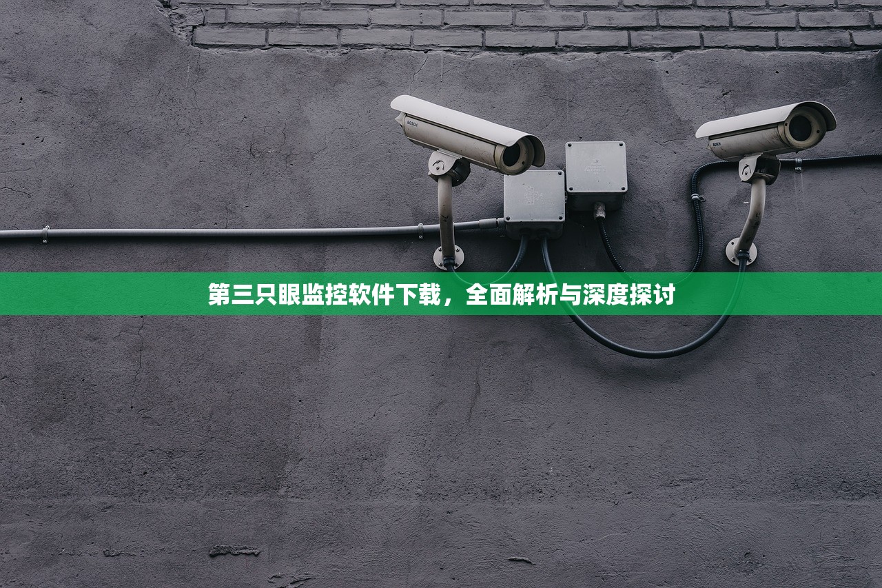 第三只眼监控软件下载，全面解析与深度探讨