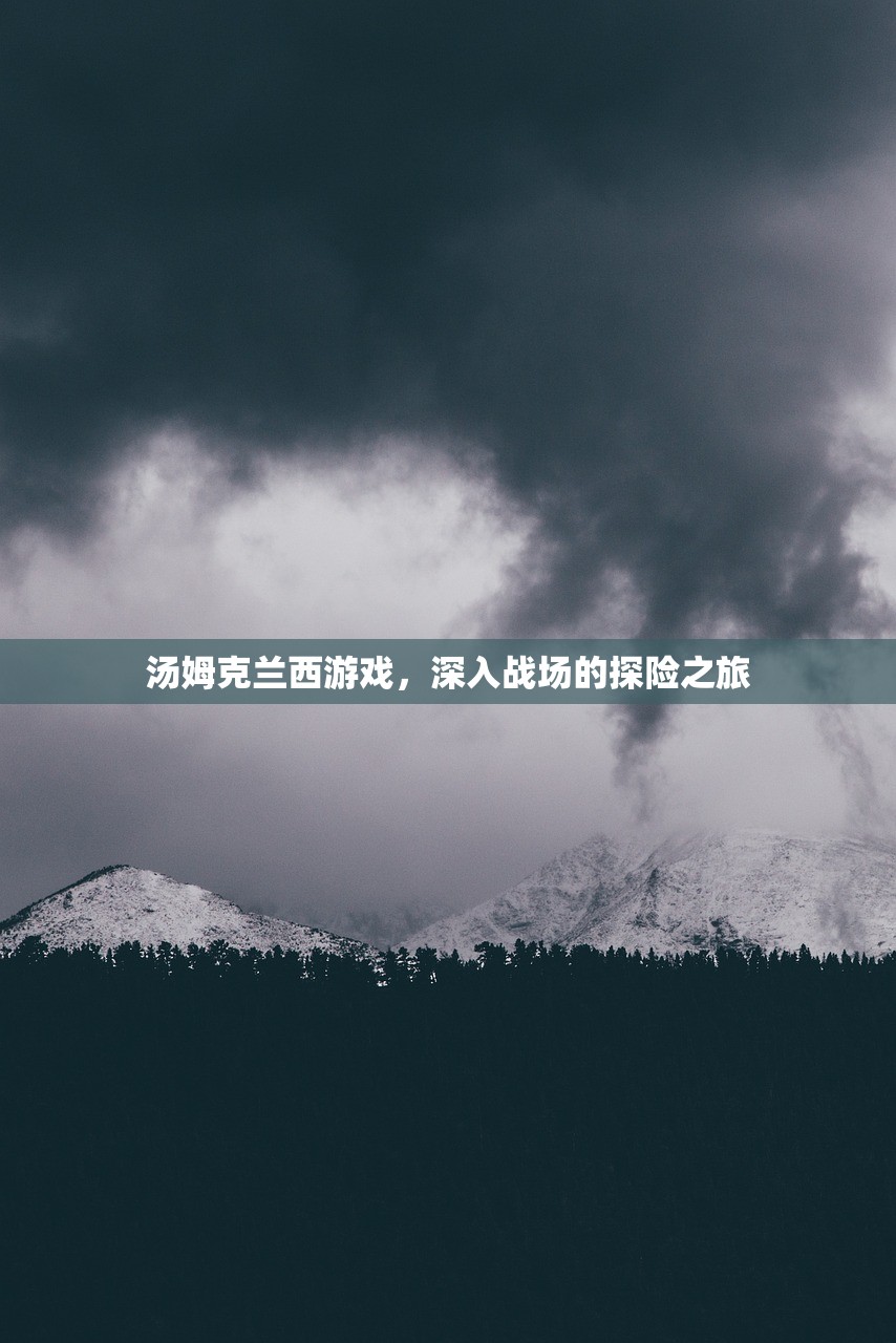 汤姆克兰西游戏，深入战场的探险之旅
