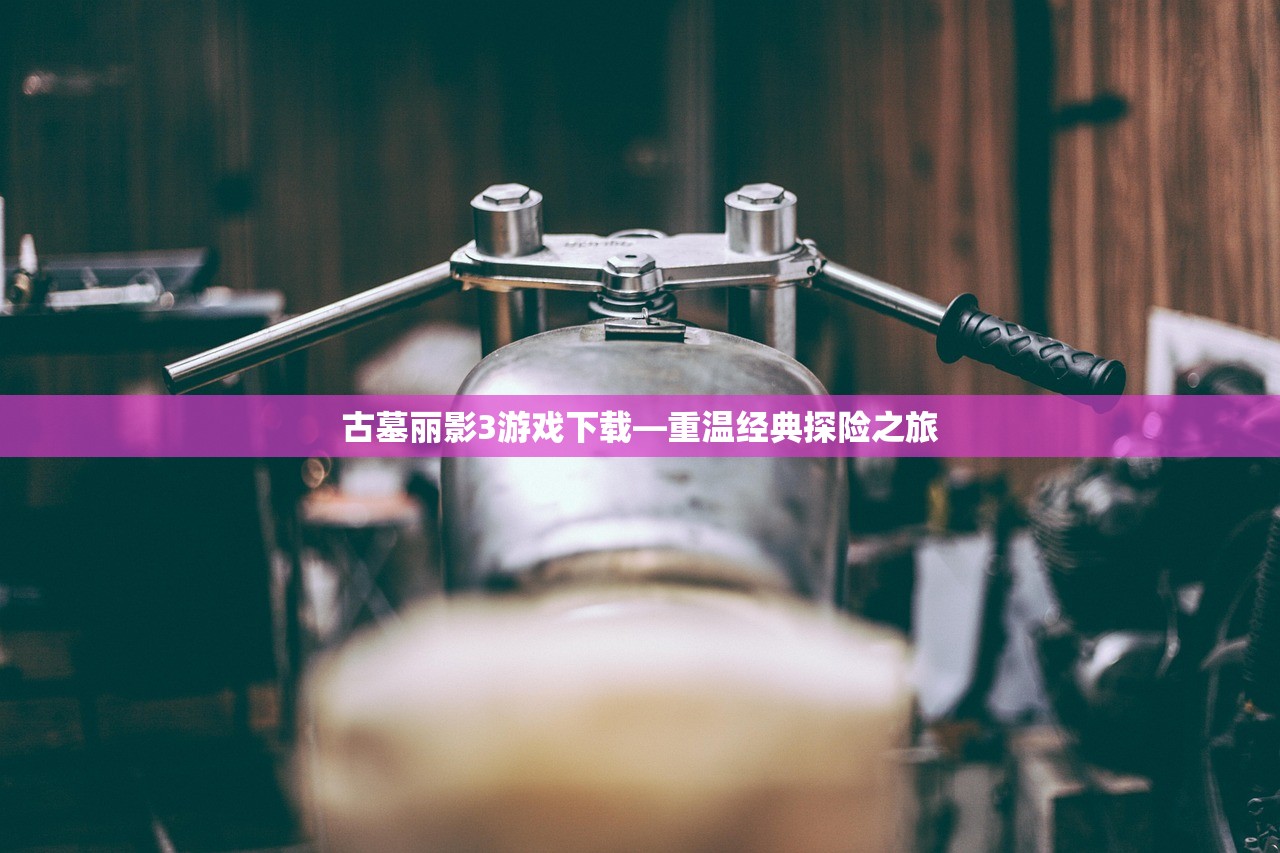 古墓丽影3游戏下载—重温经典探险之旅