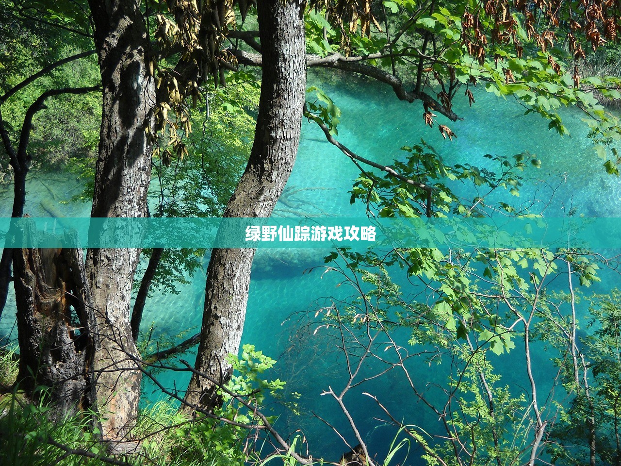 绿野仙踪游戏攻略