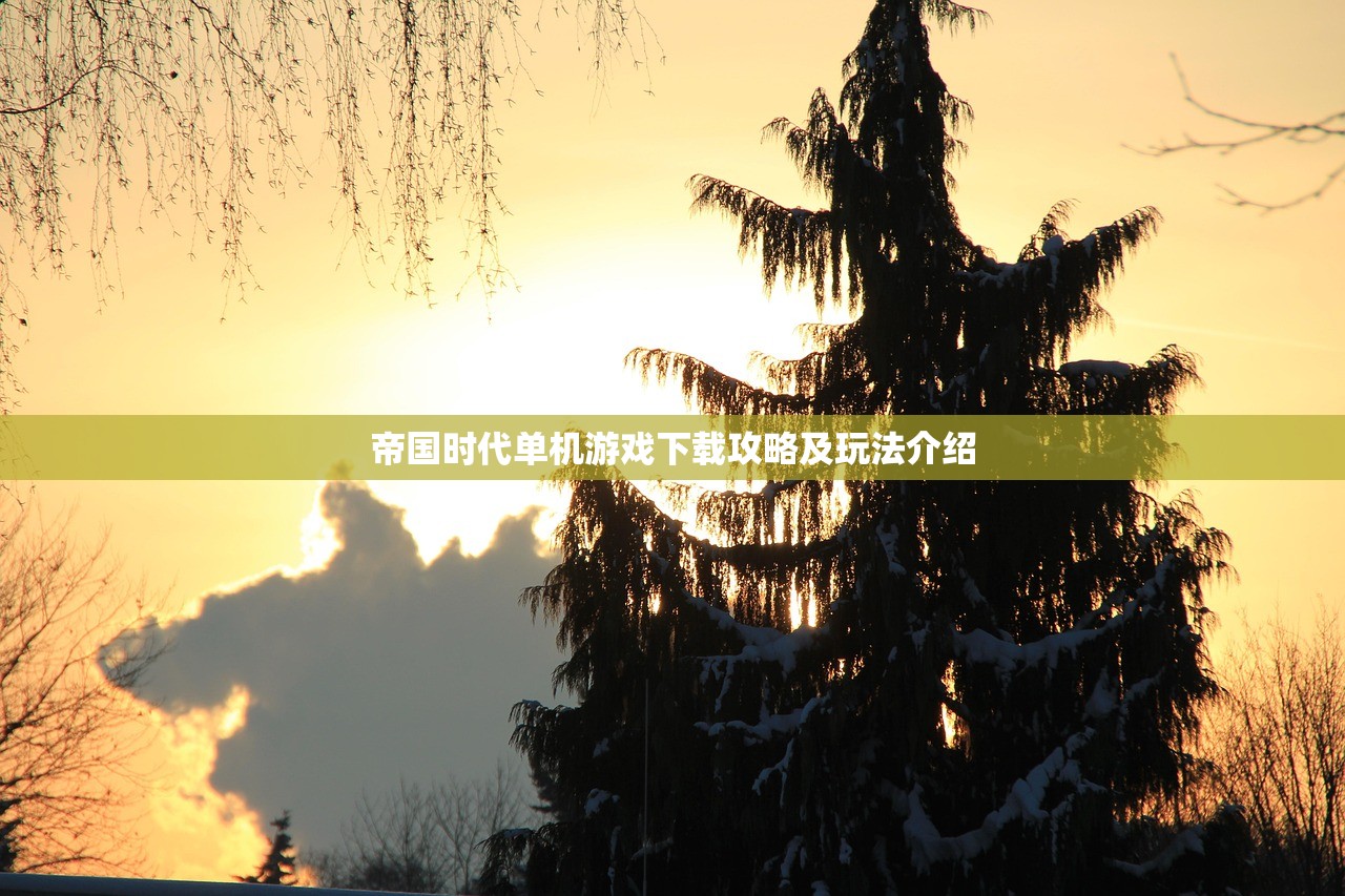 帝国时代单机游戏下载攻略及玩法介绍