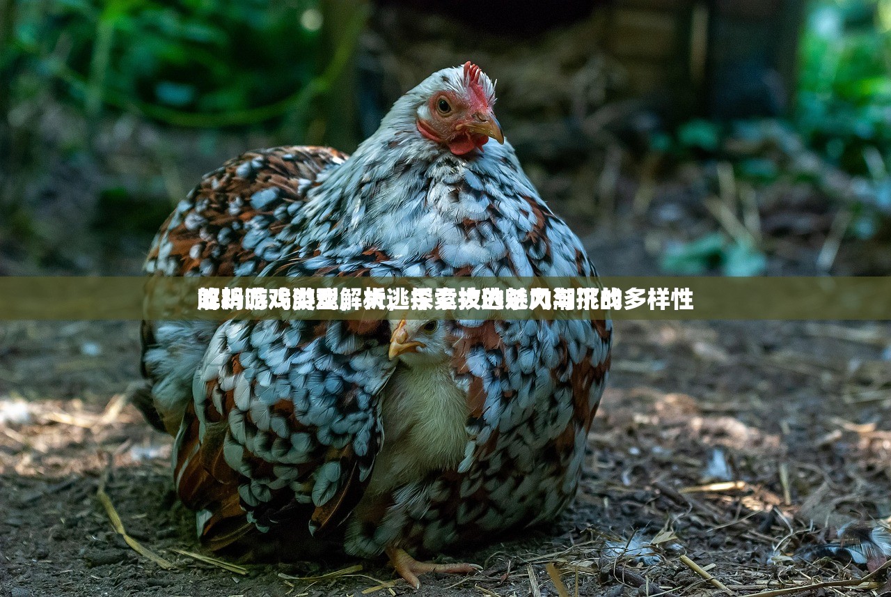 吃鸡游戏类型解析，探索大逃杀风潮下的多样性
解析吃鸡游戏，大逃杀竞技的魅力与挑战