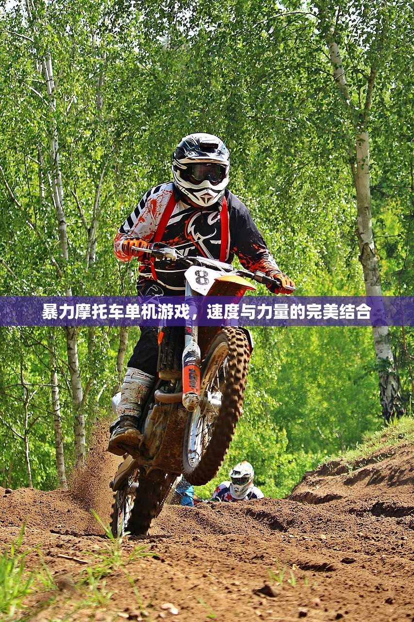 暴力摩托车单机游戏，速度与力量的完美结合