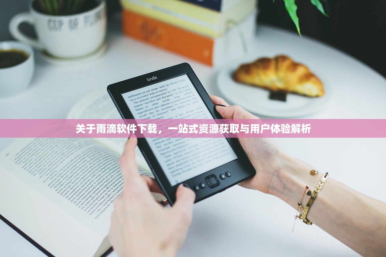 关于雨滴软件下载，一站式资源获取与用户体验解析