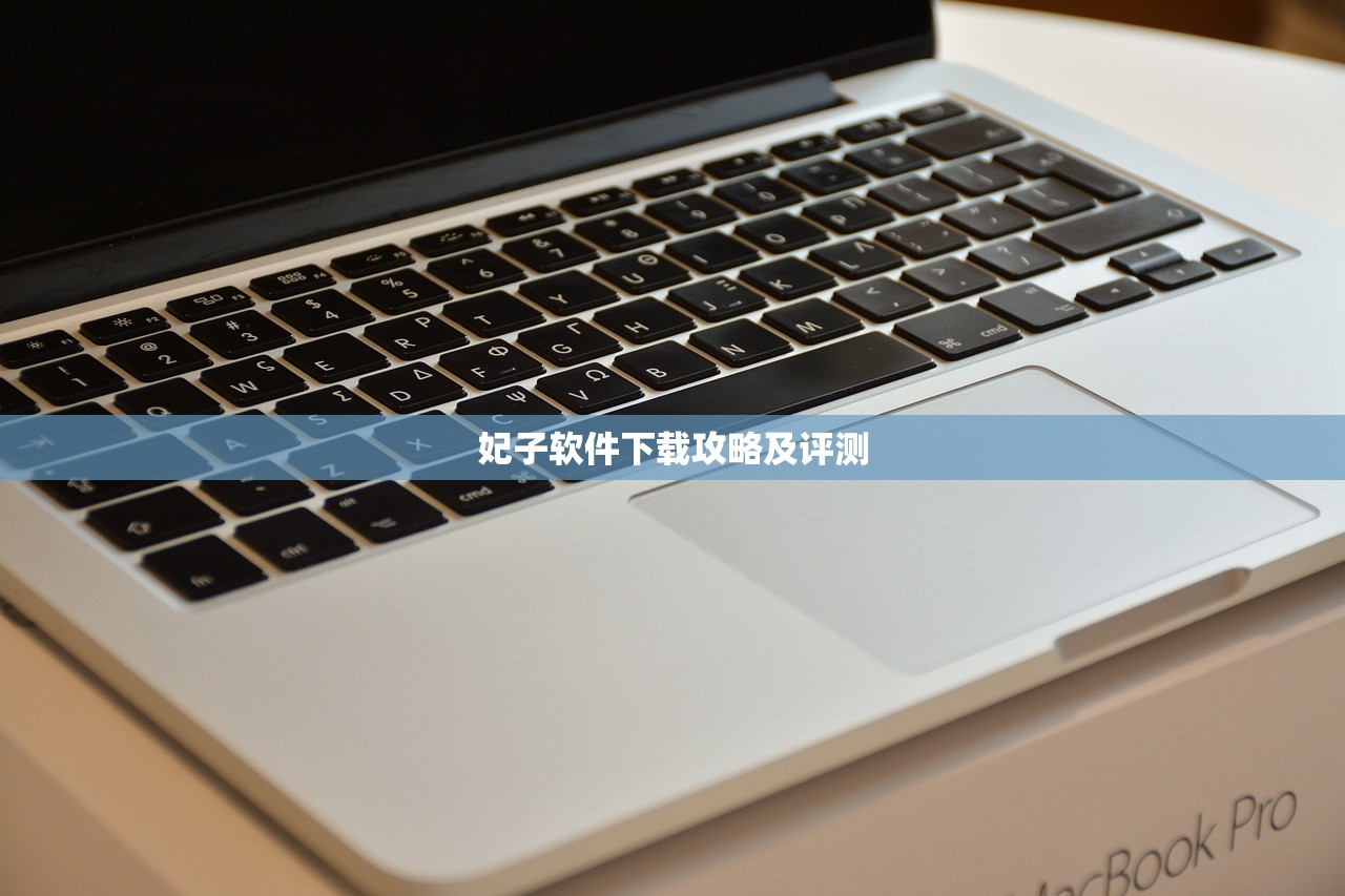 妃子软件下载攻略及评测
