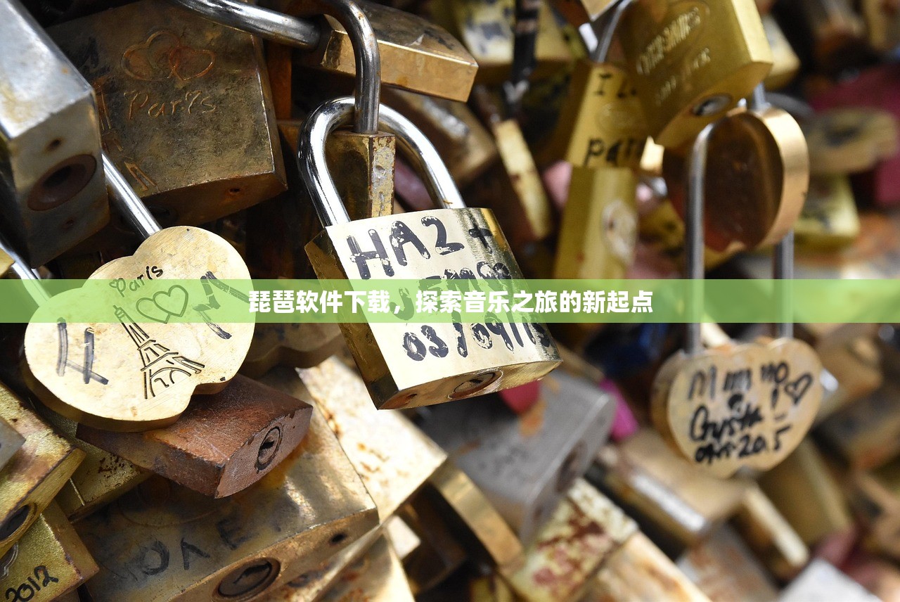 琵琶软件下载，探索音乐之旅的新起点