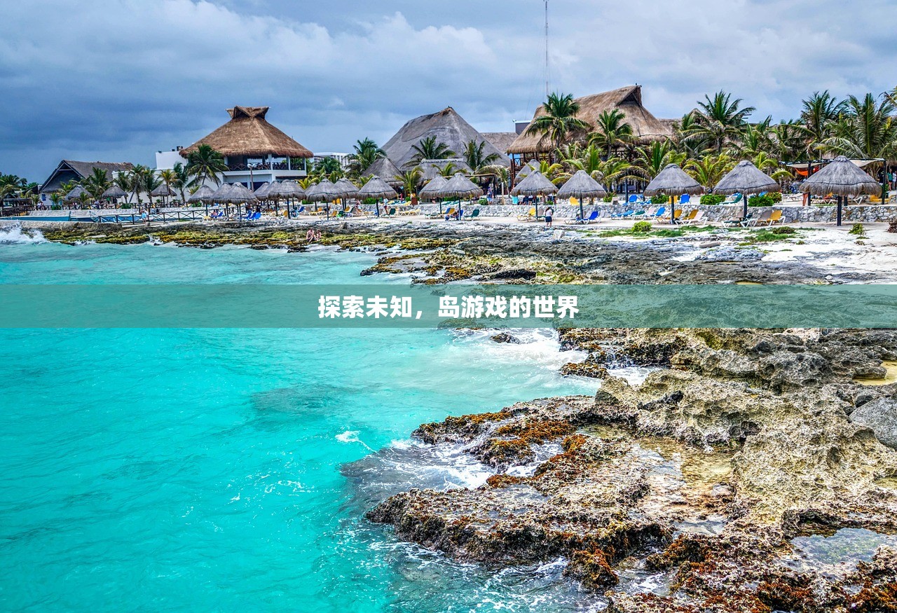 探索未知，岛游戏的世界