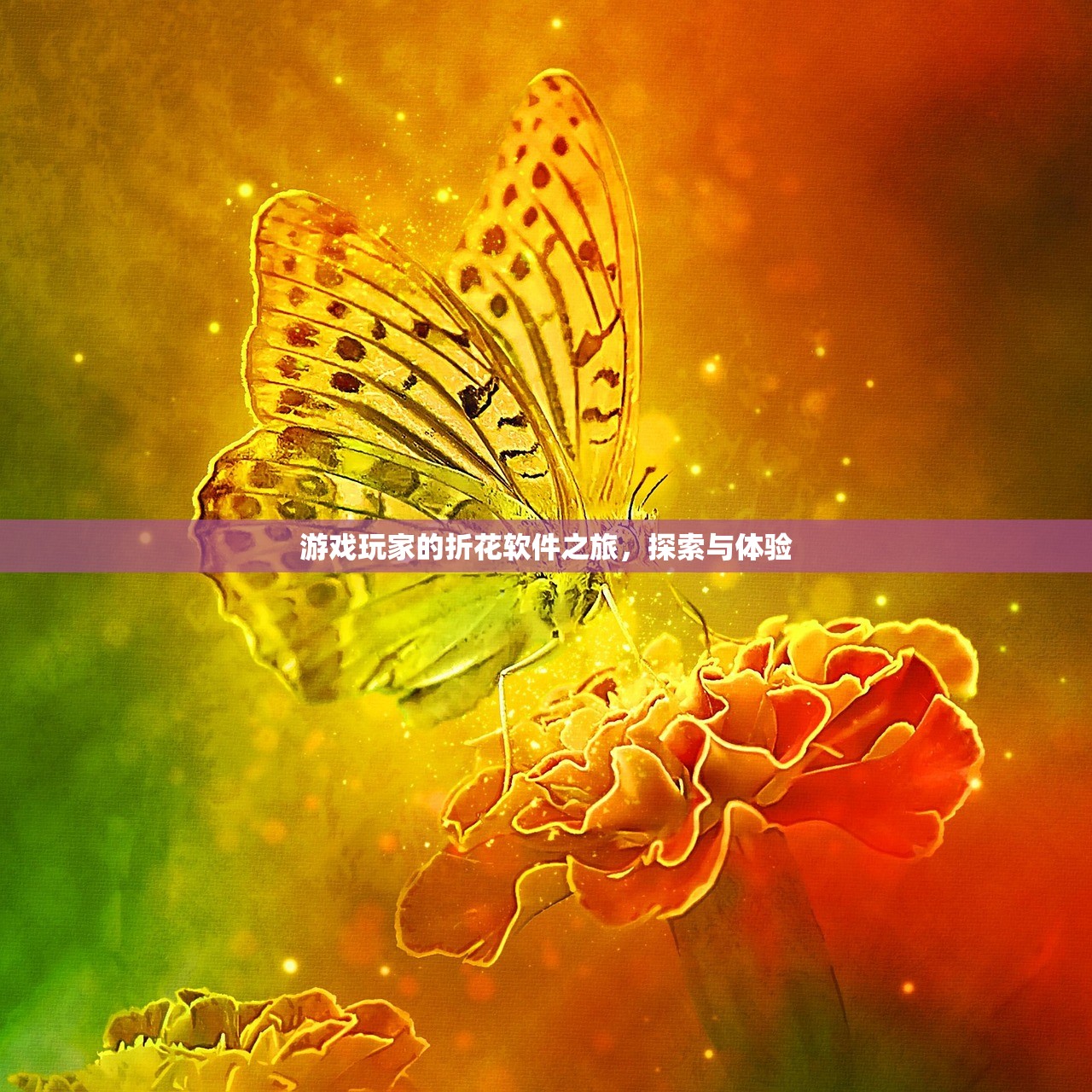 游戏玩家的折花软件之旅，探索与体验