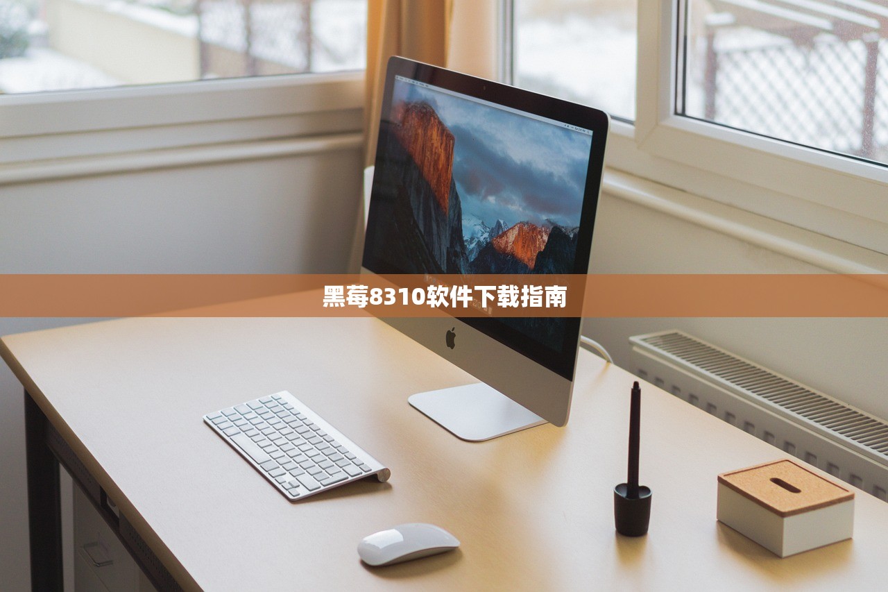黑莓8310软件下载指南