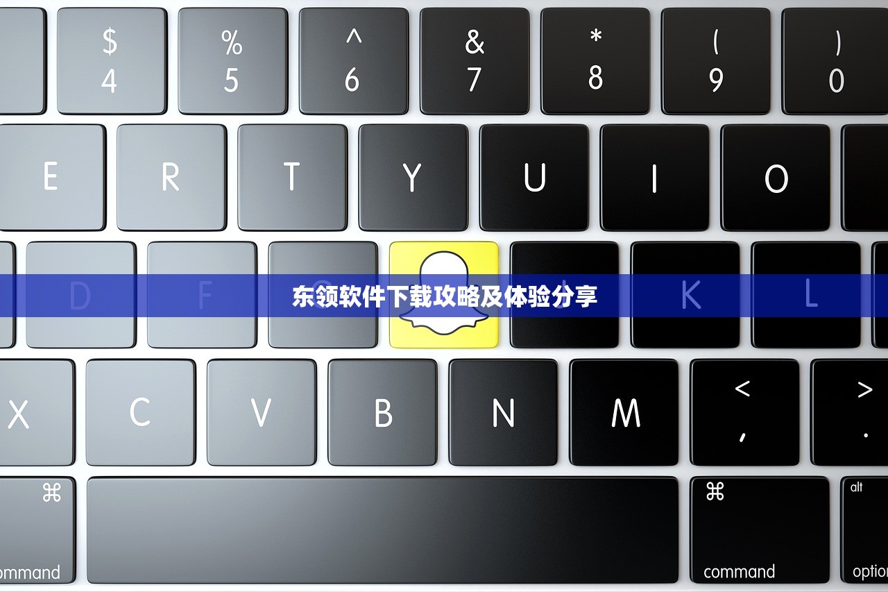 东领软件下载攻略及体验分享