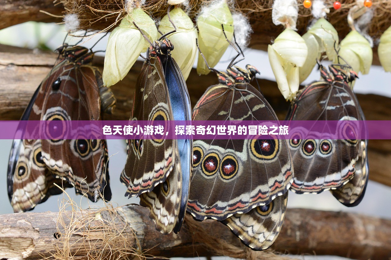 色天使小游戏，探索奇幻世界的冒险之旅