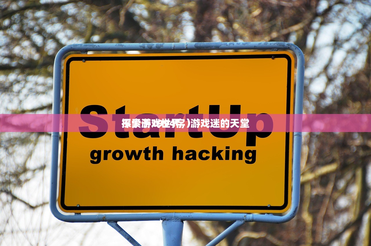 探索游戏世界，游戏迷的天堂
不少于1994字）