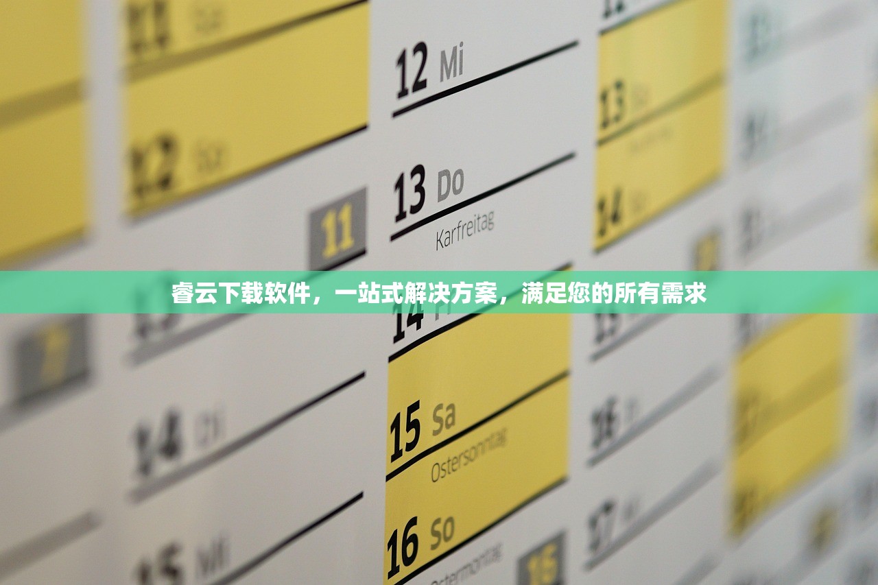 睿云下载软件，一站式解决方案，满足您的所有需求