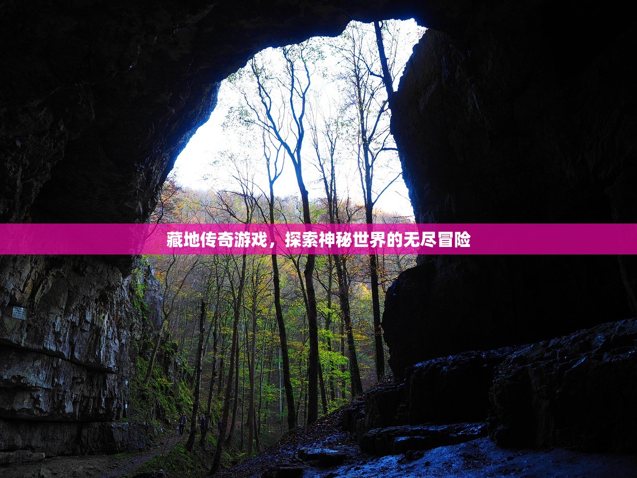 藏地传奇游戏，探索神秘世界的无尽冒险