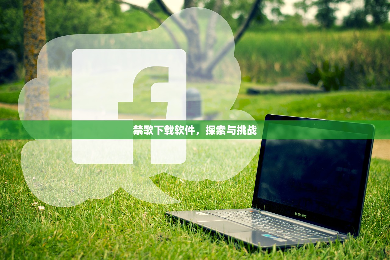 禁歌下载软件，探索与挑战