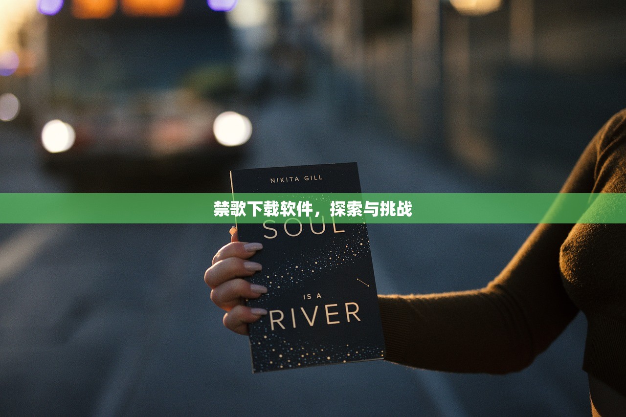 禁歌下载软件，探索与挑战