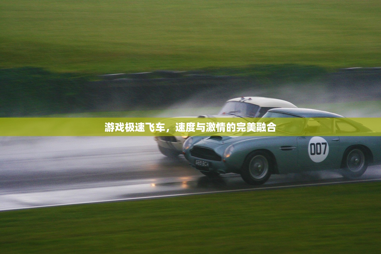 游戏极速飞车，速度与激情的完美融合