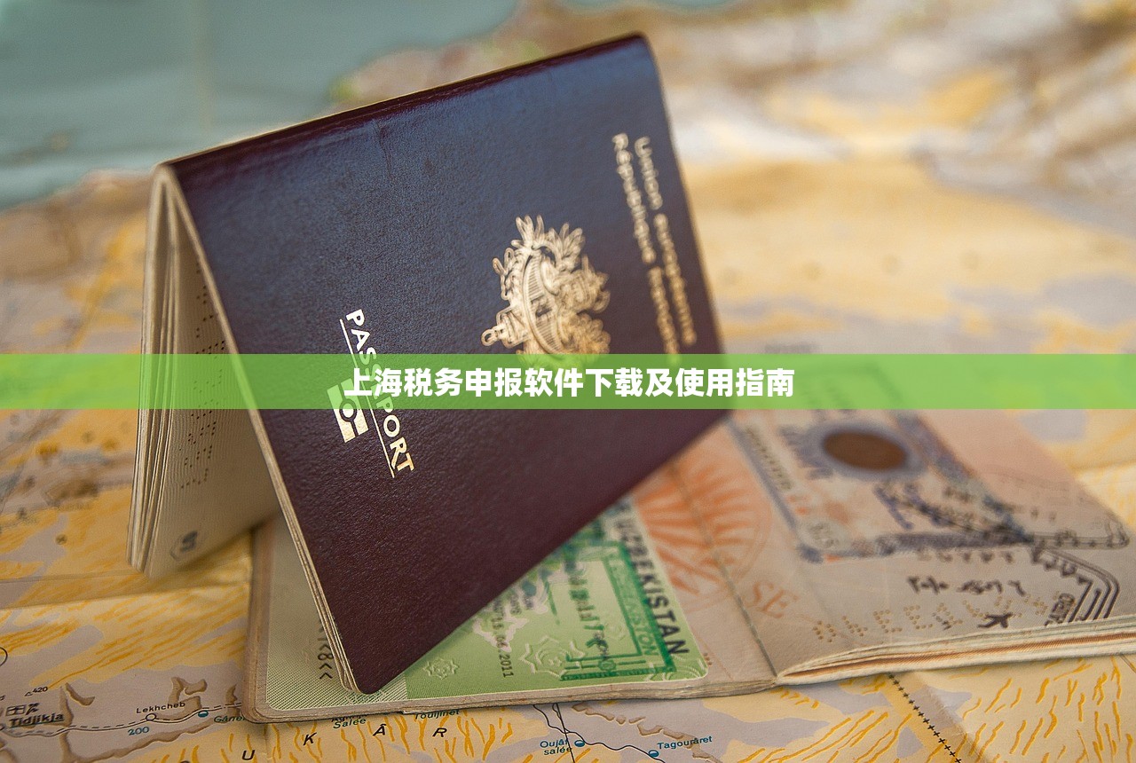 上海税务申报软件下载及使用指南