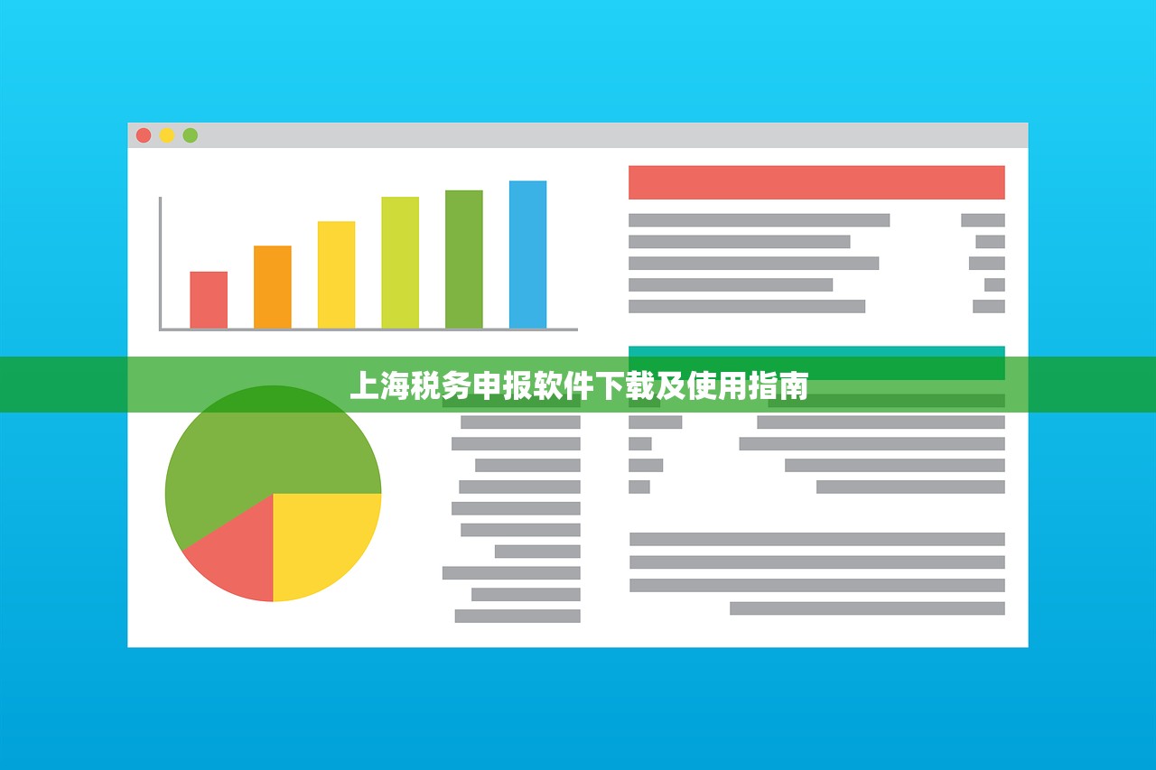 上海税务申报软件下载及使用指南