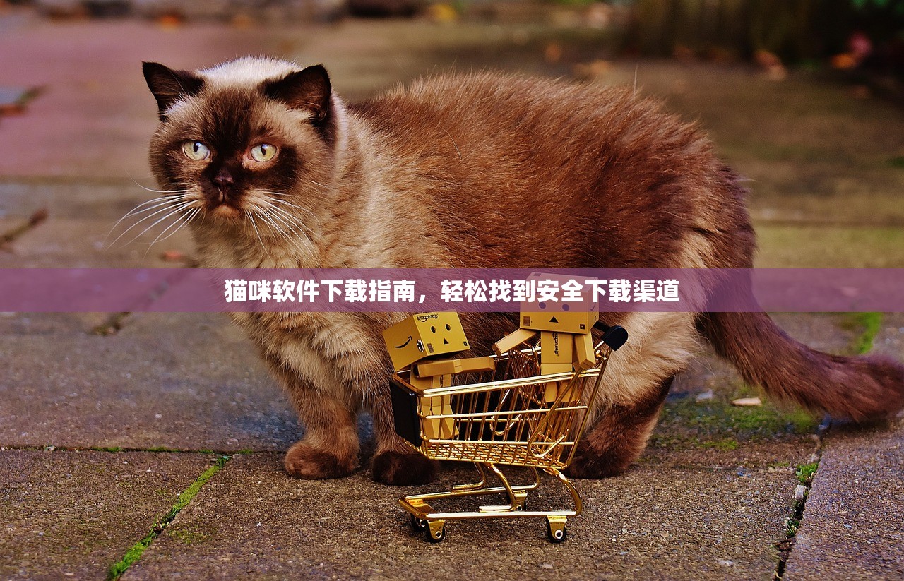 猫咪软件下载指南，轻松找到安全下载渠道