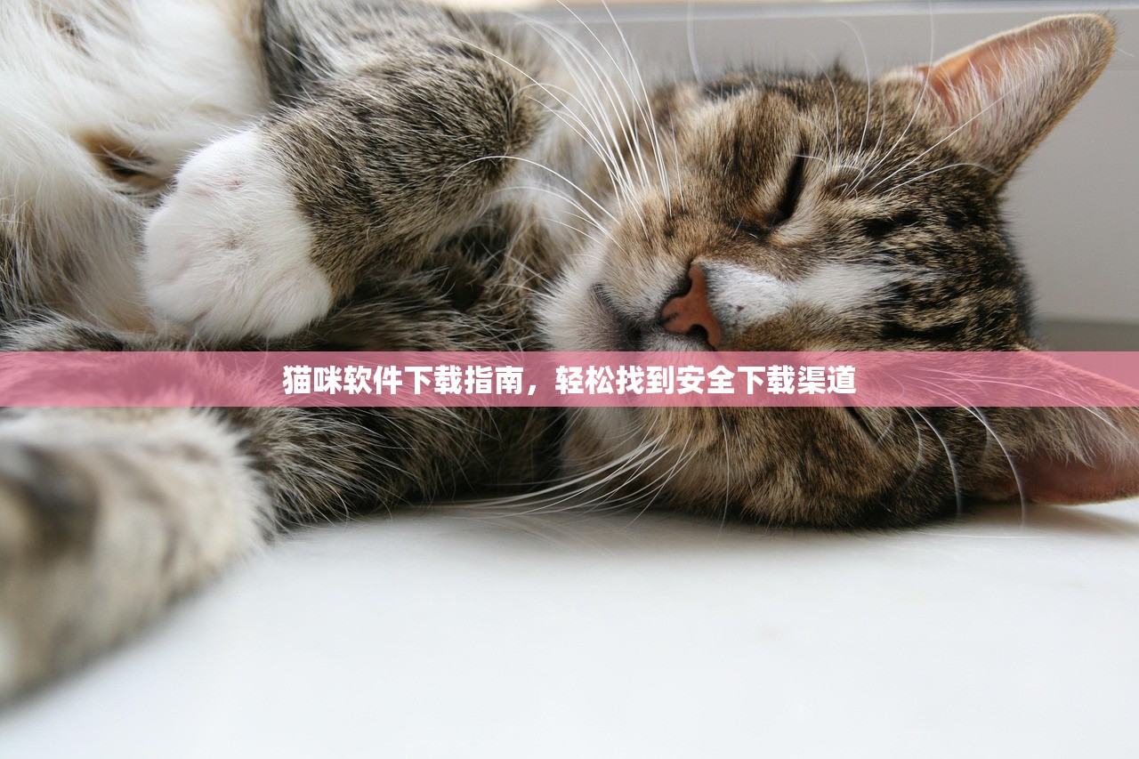 猫咪软件下载指南，轻松找到安全下载渠道