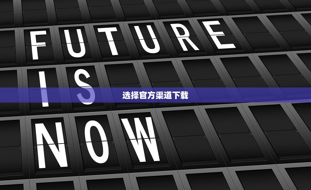 选择官方渠道下载