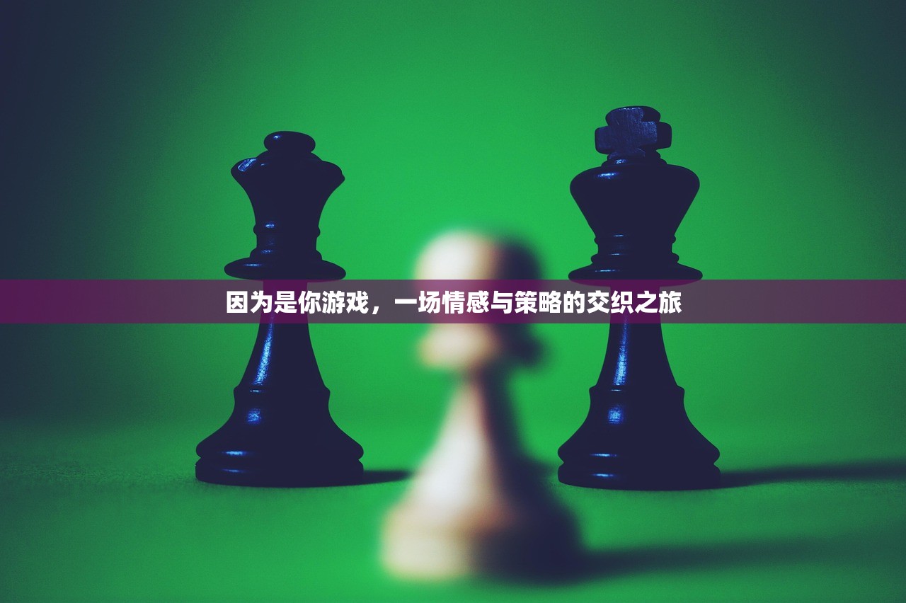 因为是你游戏，一场情感与策略的交织之旅