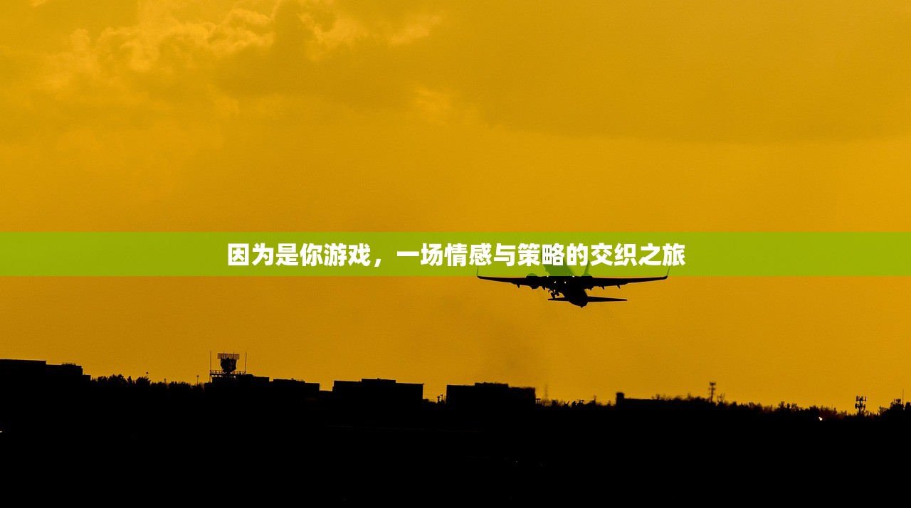 因为是你游戏，一场情感与策略的交织之旅