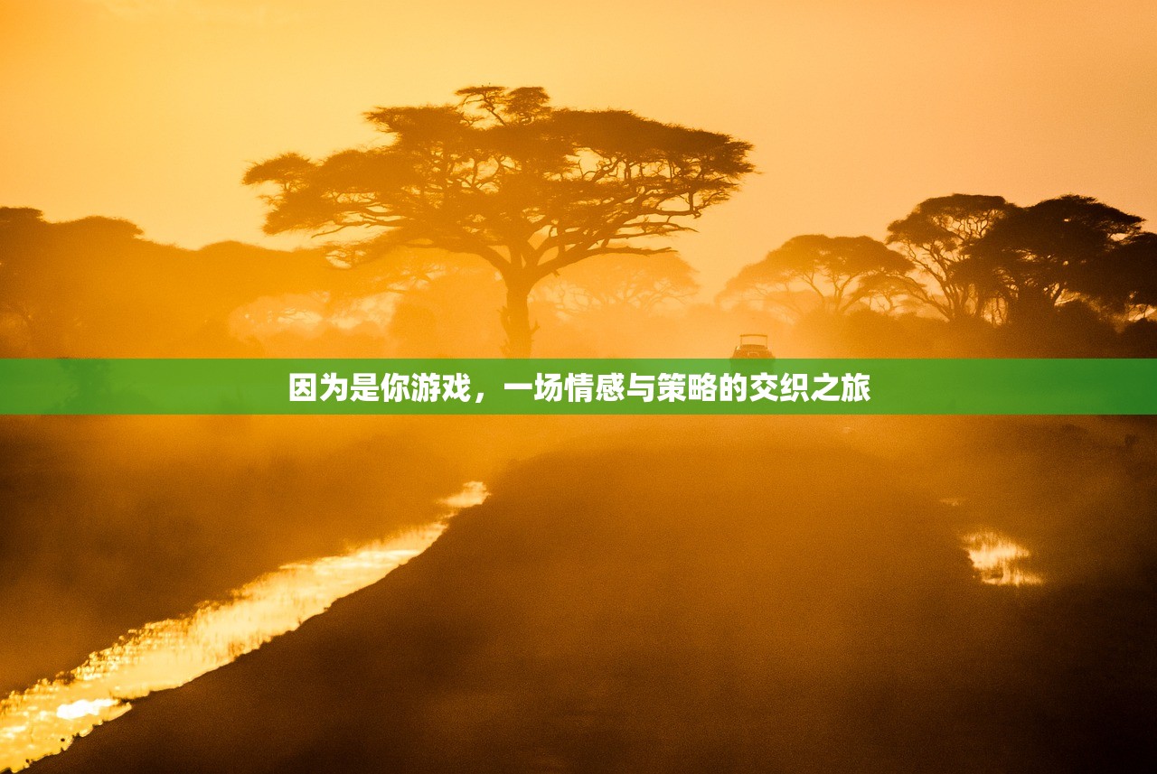 因为是你游戏，一场情感与策略的交织之旅