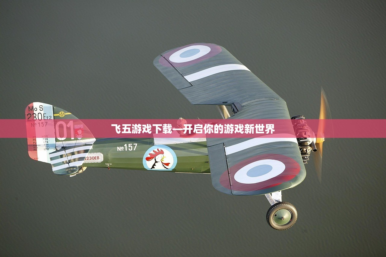 飞五游戏下载—开启你的游戏新世界