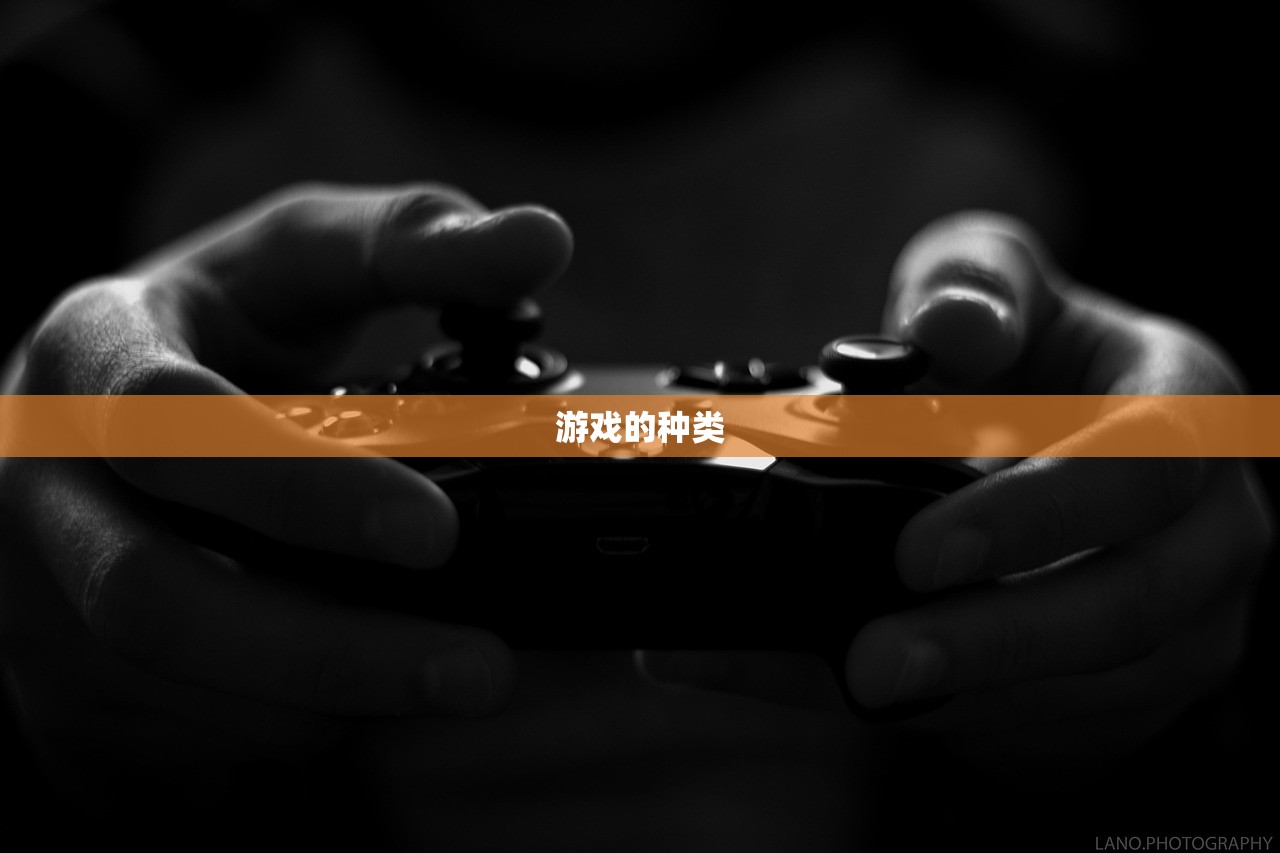 游戏的种类