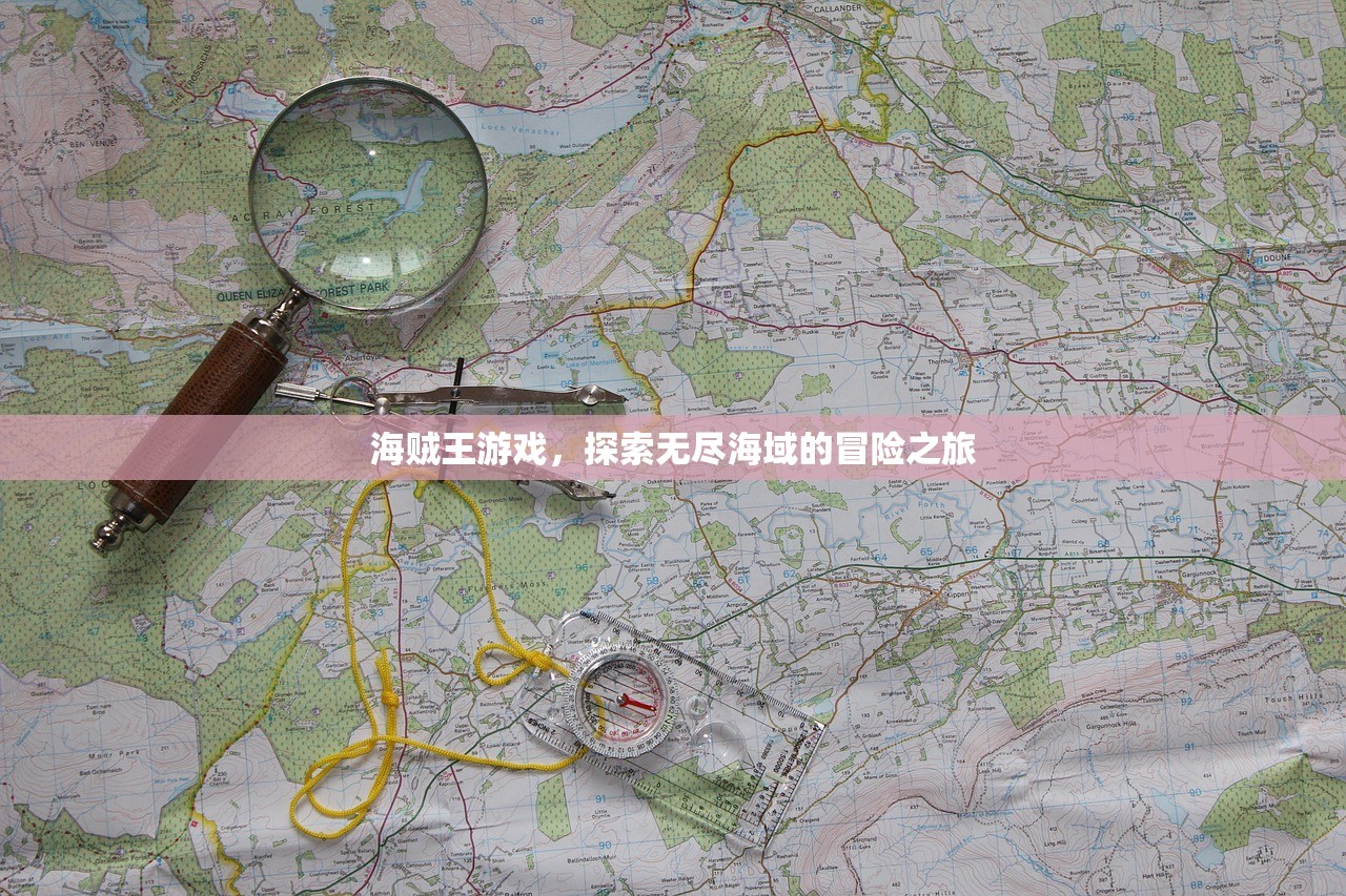 海贼王游戏，探索无尽海域的冒险之旅