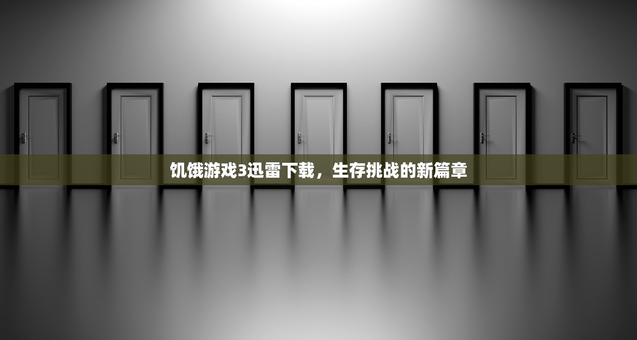 饥饿游戏3迅雷下载，生存挑战的新篇章