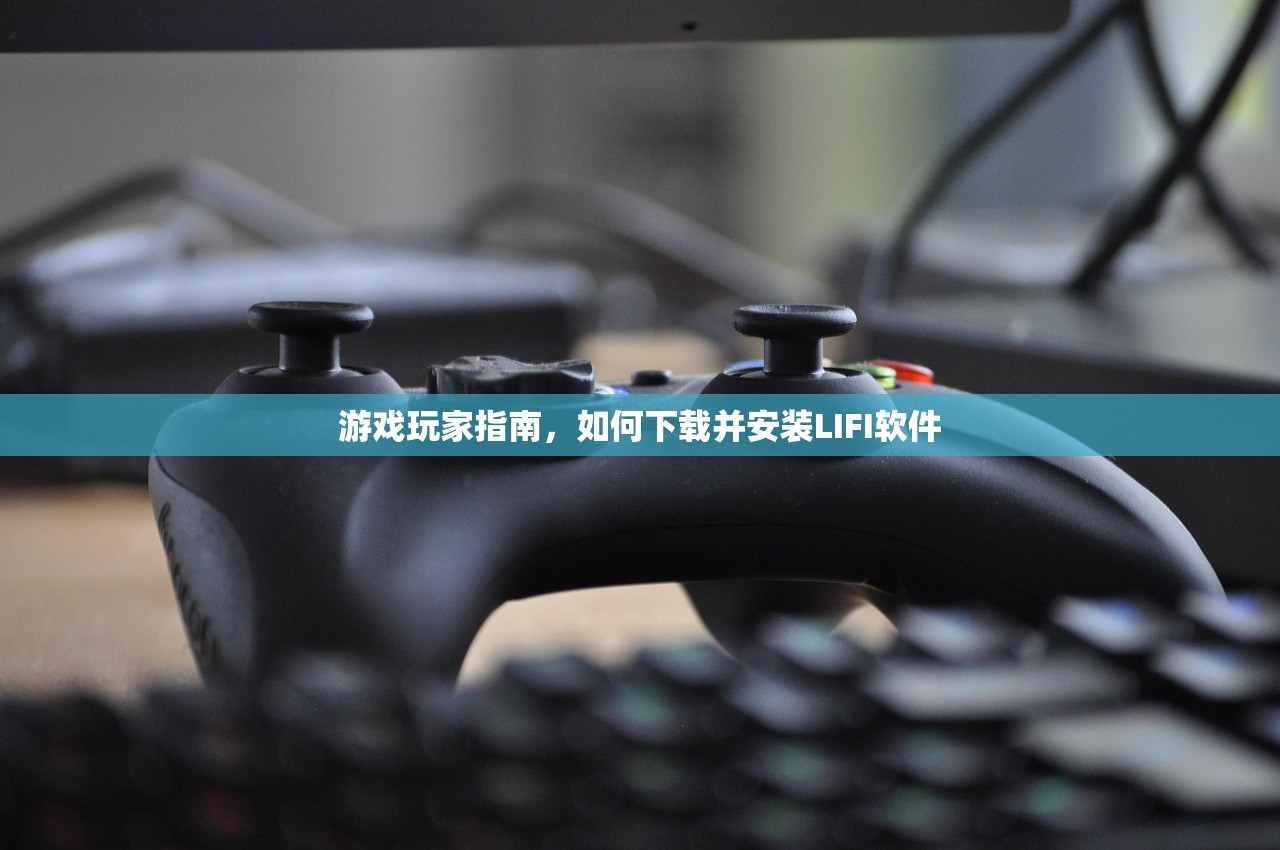 游戏玩家指南，如何下载并安装LIFI软件