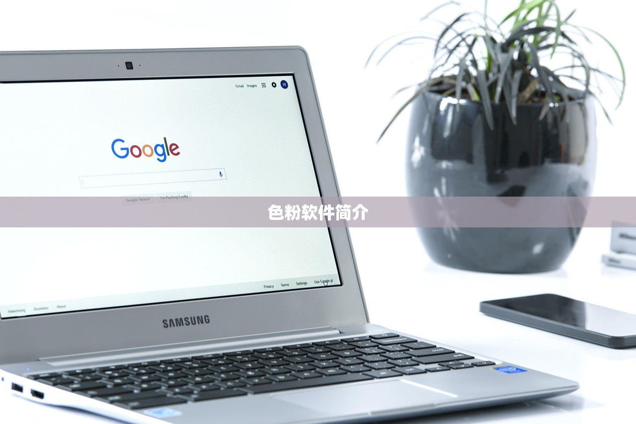 色粉软件简介