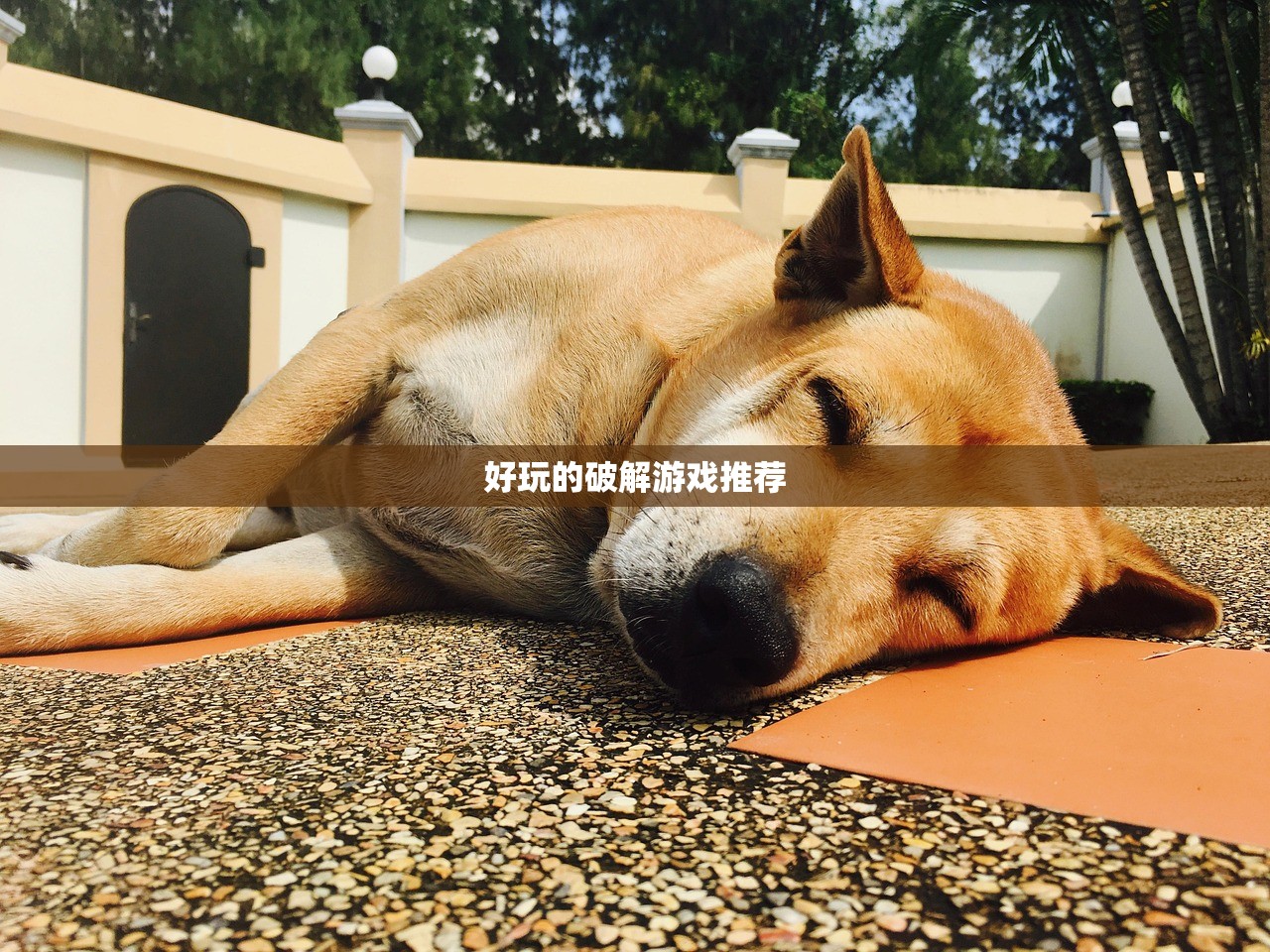 好玩的破解游戏推荐