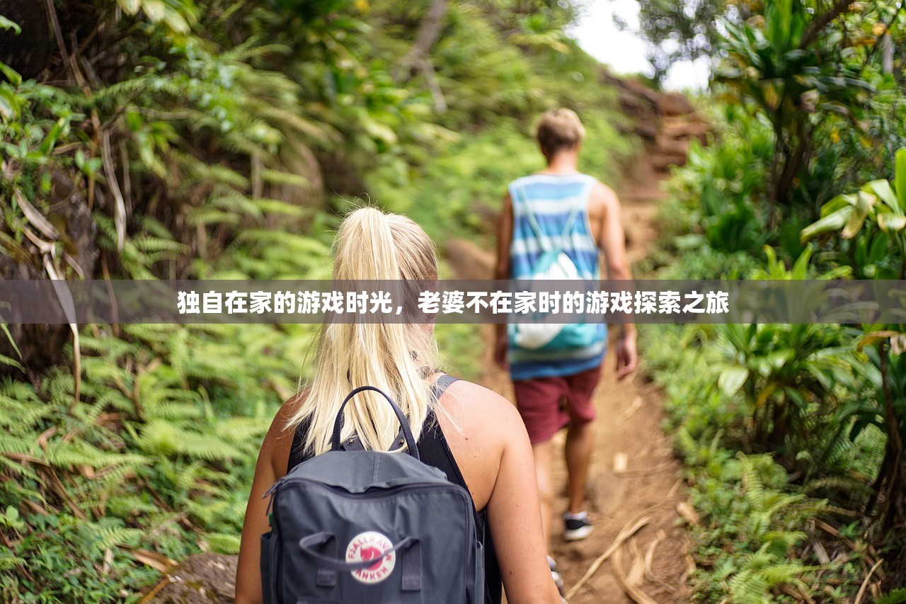 独自在家的游戏时光，老婆不在家时的游戏探索之旅