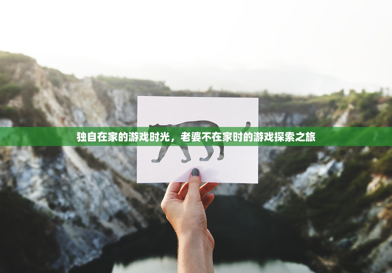 独自在家的游戏时光，老婆不在家时的游戏探索之旅