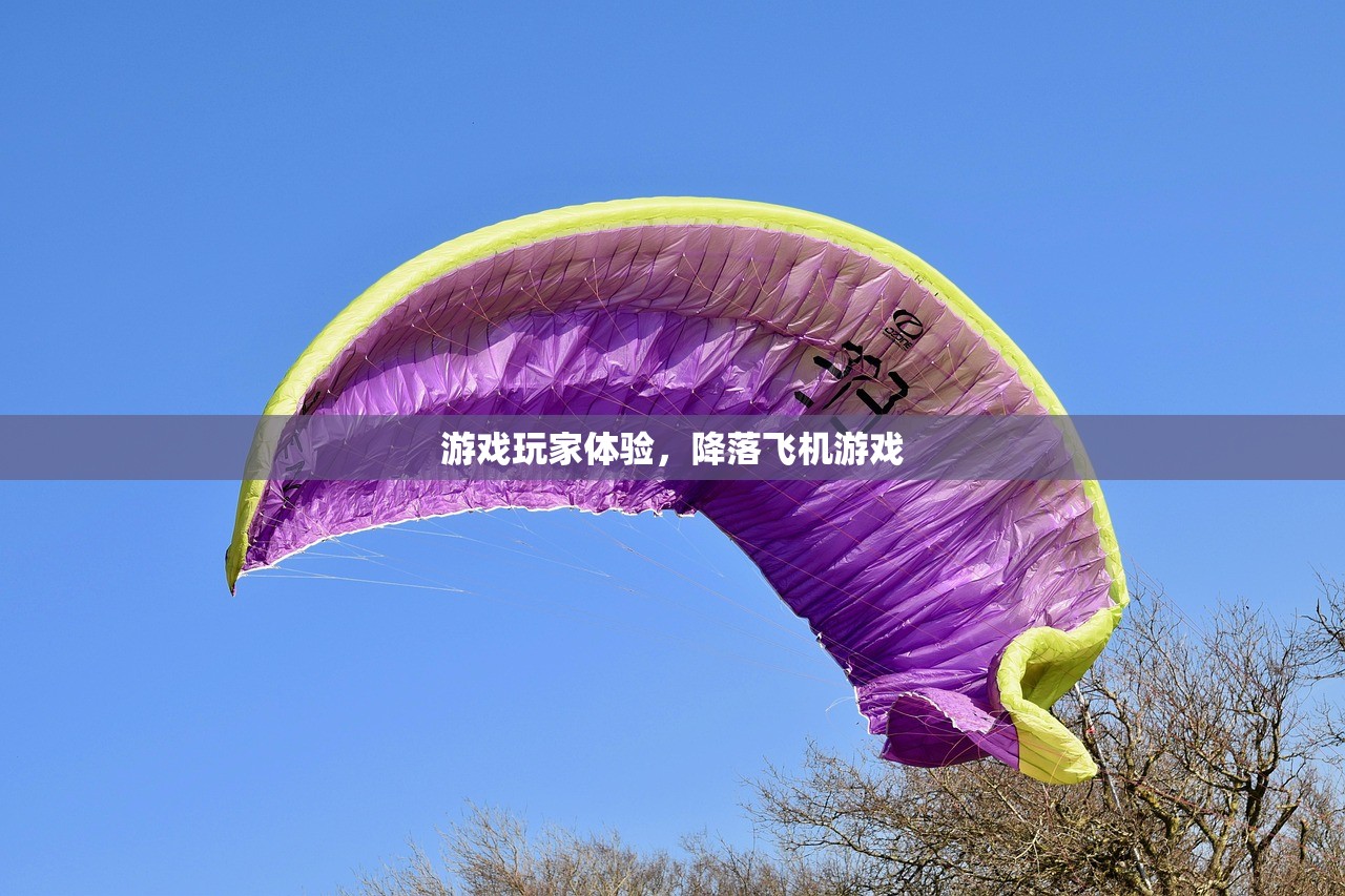 游戏玩家体验，降落飞机游戏
