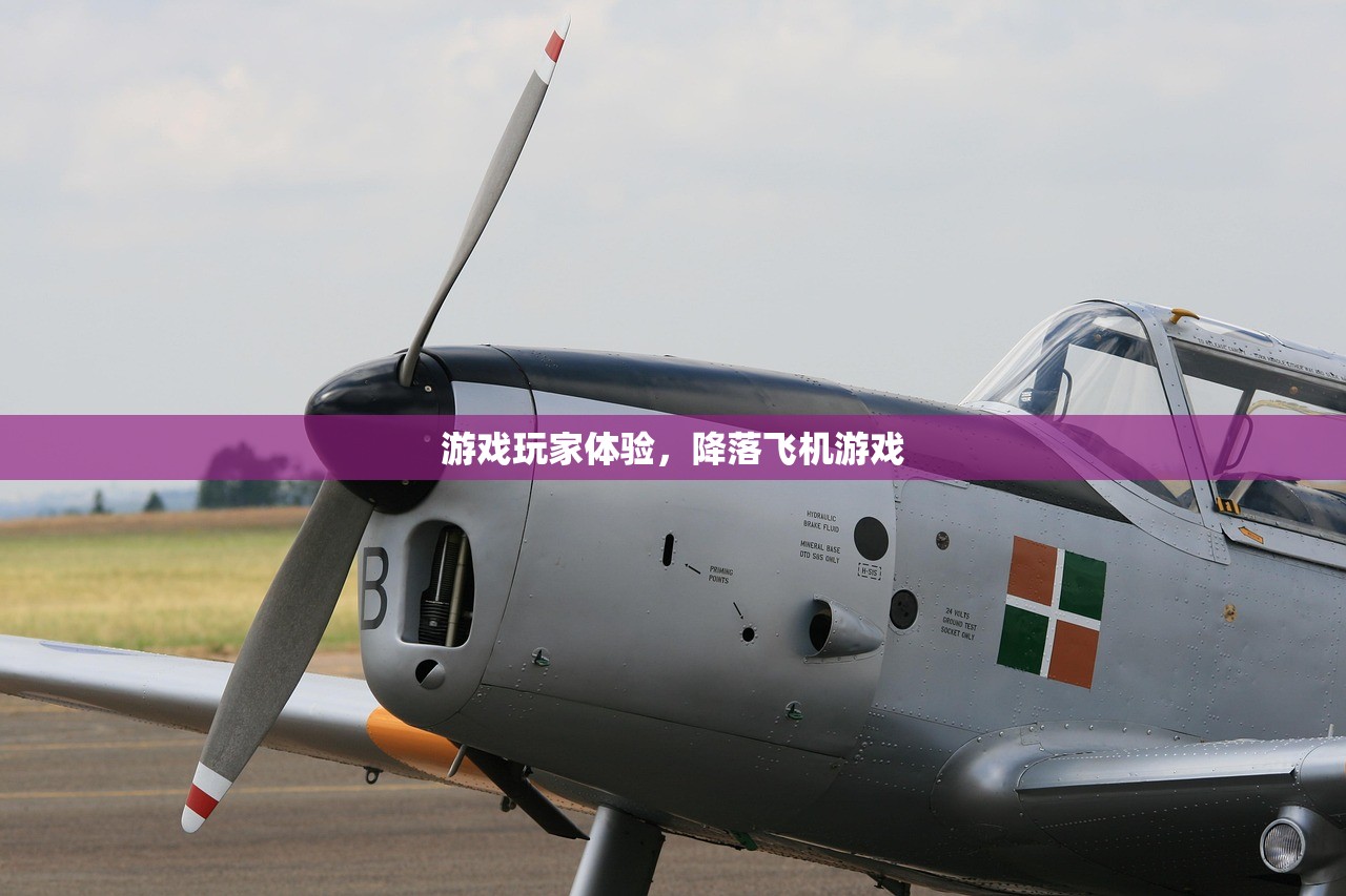 游戏玩家体验，降落飞机游戏