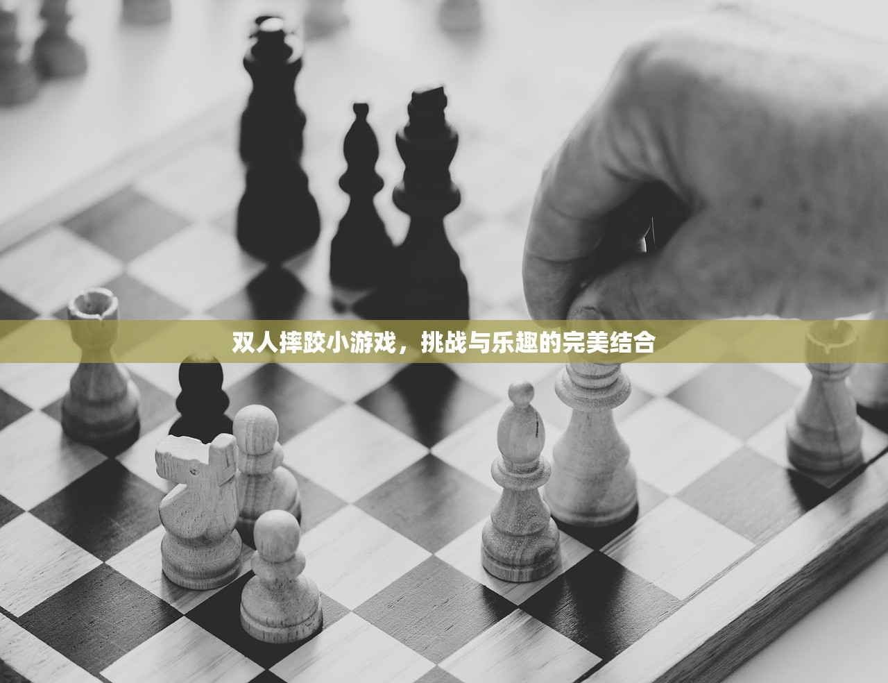 双人摔跤小游戏，挑战与乐趣的完美结合